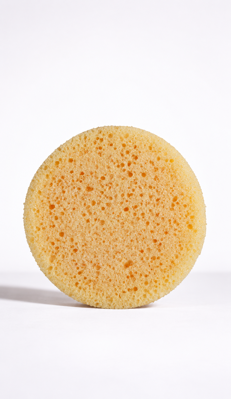 Tire Dressing Applicator